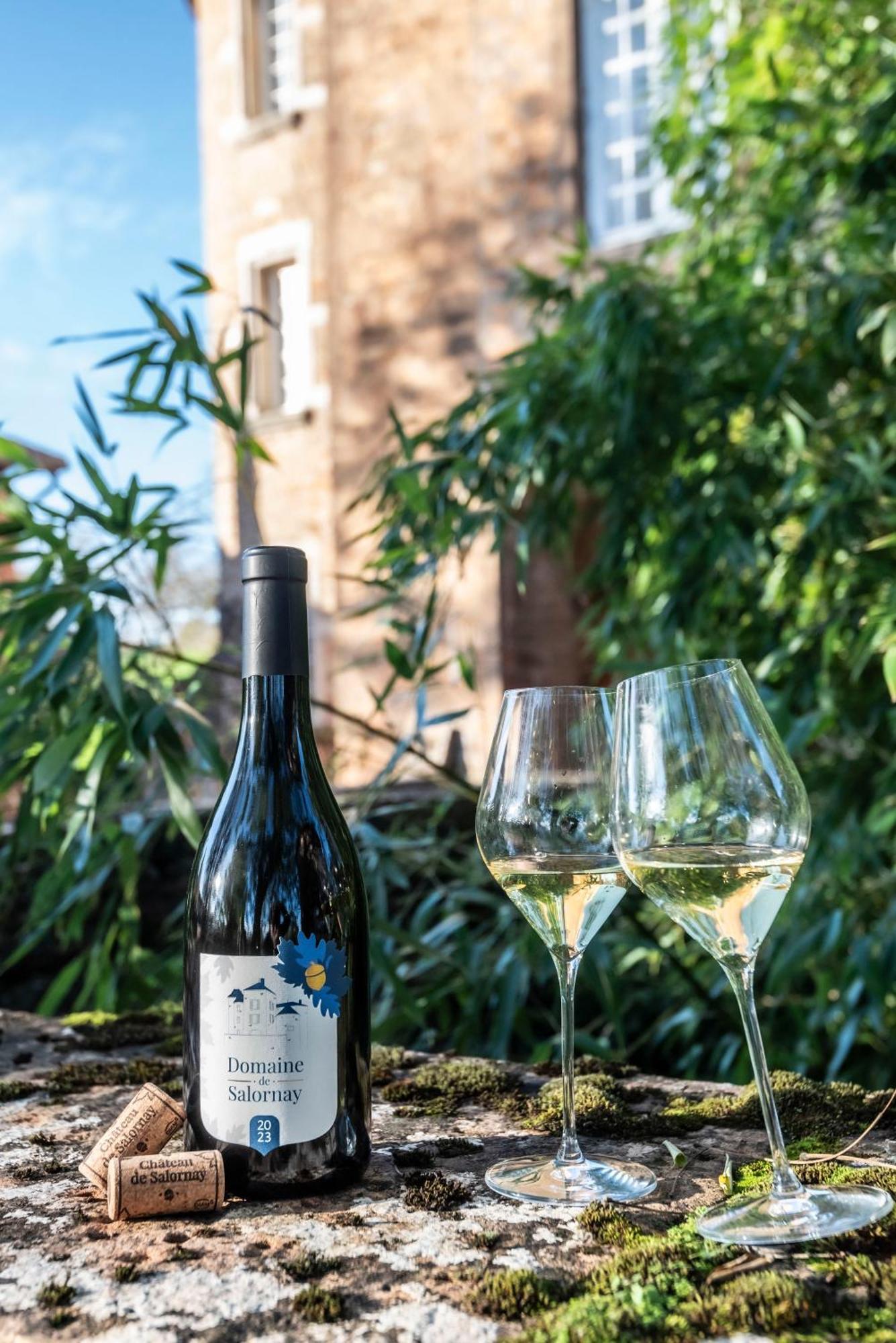 Chateau De Salornay Hurigny 外观 照片